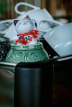 tiến lên di động New88
